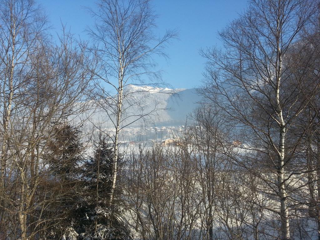 Der Grosse Stadl Holiday home *